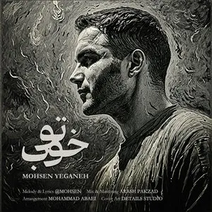 Pochette de تو خوب de Mohsen Yeganeh
