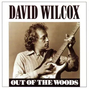 Pochette de Out of the Woods de David Wilcox