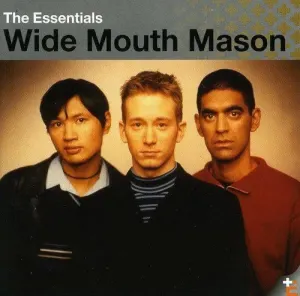 Pochette de The Essentials de Wide Mouth Mason