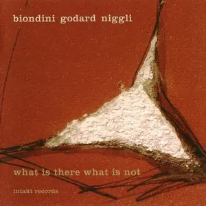 Pochette de What Is There What Is Not de Michel Godard