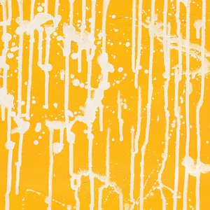 Pochette de リピート de ACIDMAN