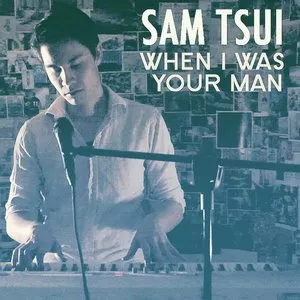 Pochette de When I Was Your Man de Sam Tsui