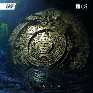 Pochette de Sientelo de Mefjus - Camo & Krooked