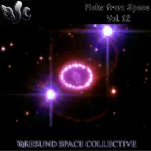 Pochette de Picks From Space, Vol. 12 de Øresund Space Collective