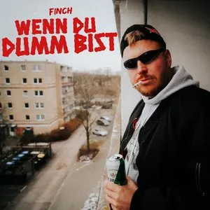 Pochette de WENN DU DUMM BiST de FiNCH