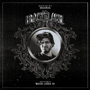 Pochette de Wook Laser de Subtronics