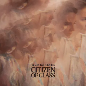 Pochette de Grasshopper de Agnes Obel