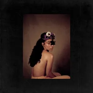 Pochette de Disarray de Lianne La Havas