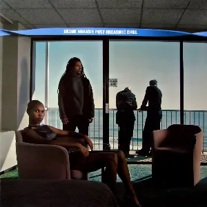 Pochette de Post Orgasmic Chill de Skunk Anansie