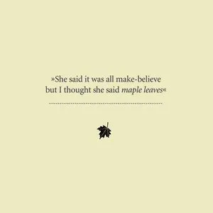 Pochette de Maple Leaves de Jens Lekman