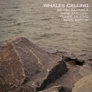 Pochette de Whales Calling de Michel Banabila
