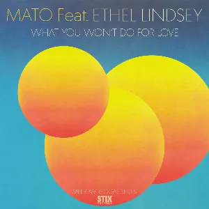 Pochette de What You Won’t Do For Love de Mato