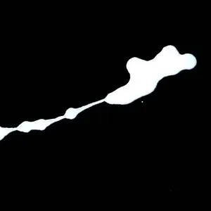 Pochette de Contact de Keith Rowe - Sachiko M
