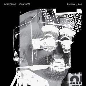 Pochette de The Echoing Shell de John Wiese