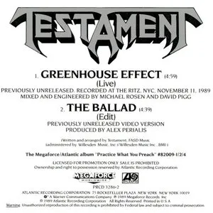 Pochette de Greenhouse Effect de Testament