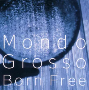 Pochette de Born Free de MONDO GROSSO