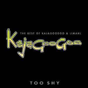 Pochette The Best of Kajagoogoo & Limahl