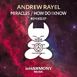 Pochette de Miracles / How Do I Know (Remixes) de Andrew Rayel
