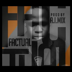 Pochette de Factual de Awon Amlex
