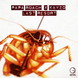 Pochette Last Resort (Kayzo remix)