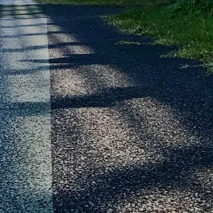 Pochette de Sekirei -Band Mix- de Ueda Takayasu