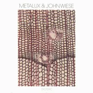 Pochette de Exoteric de John Wiese
