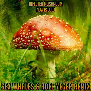 Pochette Now Is Gold (Sex Whales & Roee Yeger remix)