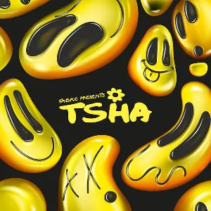 Pochette fabric presents TSHA