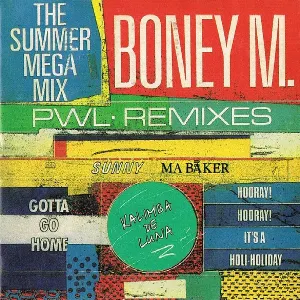 Pochette The Summer Mega Mix