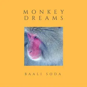 Pochette de Monkey Dreams EP de Baali Soda