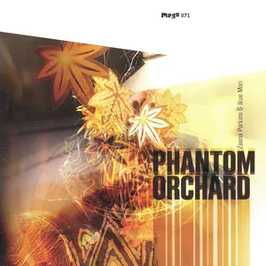 Pochette de Phantom Orchard de Ikue Mori