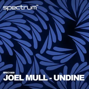 Pochette de Undine de Joel Mull