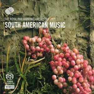 Pochette South American Music