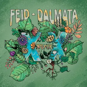 Pochette de XX (remix) de Feid