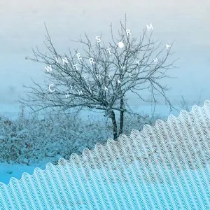 Pochette de Winter Storm de Chihei Hatakeyama