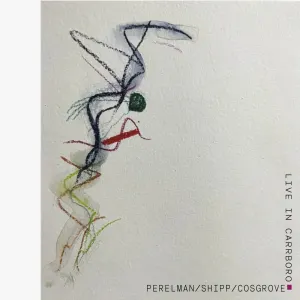 Pochette de Live in Carrboro de Ivo Perelman - Matthew Shipp