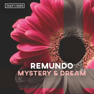 Pochette de Mystery & Dream de Remundo