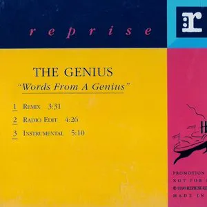 Pochette de Words From a Genius de GZA/Genius