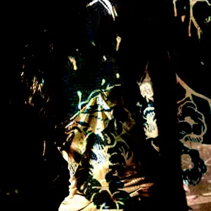 Pochette de Dog's Lust Falling de Falsewander
