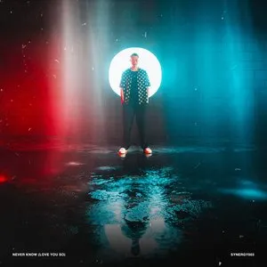 Pochette de Never Know (Love You So) de Friction