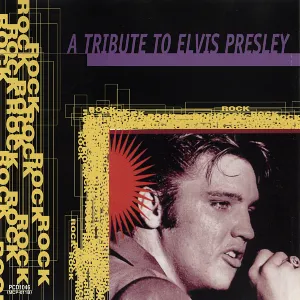 Pochette A Tribute to Elvis Presley Rock Series
