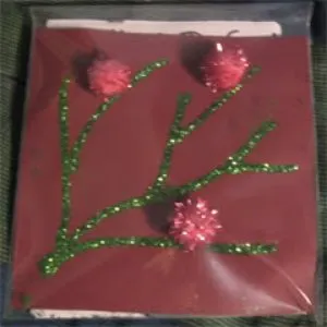 Pochette de Tour Songs 2 de The Rosebuds