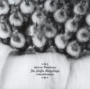 Pochette de The Shifts Recyclings de Vidna Obmana