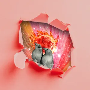 Pochette de Fièvre Humaine de Zaza Fournier