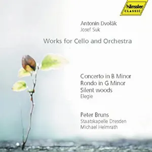 Pochette Works for Cello and Orchestra