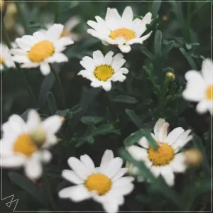Pochette de Be Alright de Madilyn Bailey