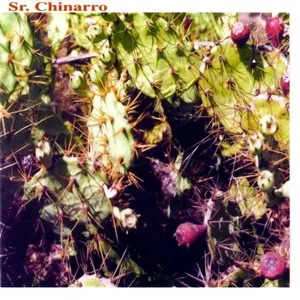 Pochette de Sr. Chinarro de Sr. Chinarro