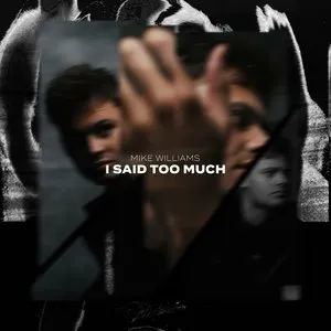 Pochette de I Said Too Much de Mike Williams