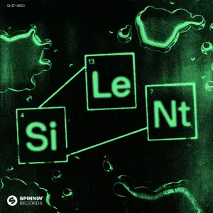 Pochette de Silent de Ship Wrek