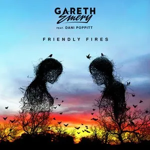 Pochette de Friendly Fires de Gareth Emery